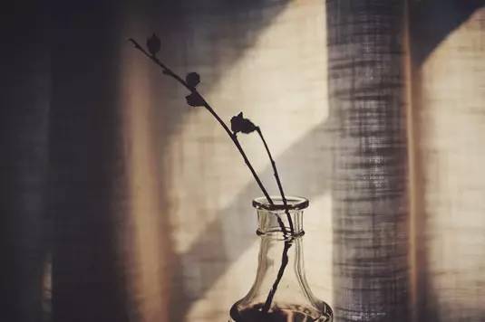 武昌置业终极选择，两个“壹号”谁能代表豪宅封面