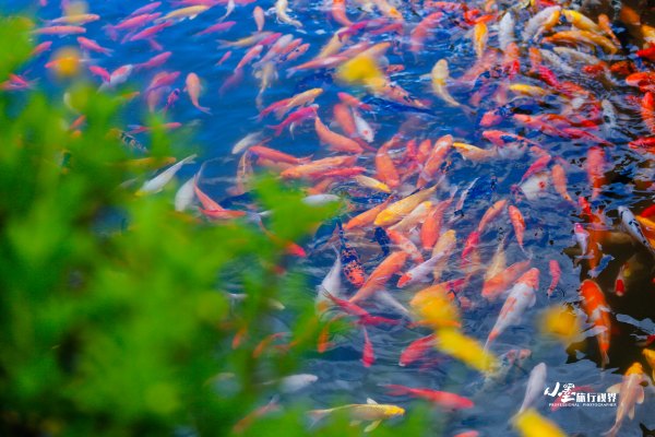 历史底蕴与现代繁华在此交融,历史与现代并存的城市