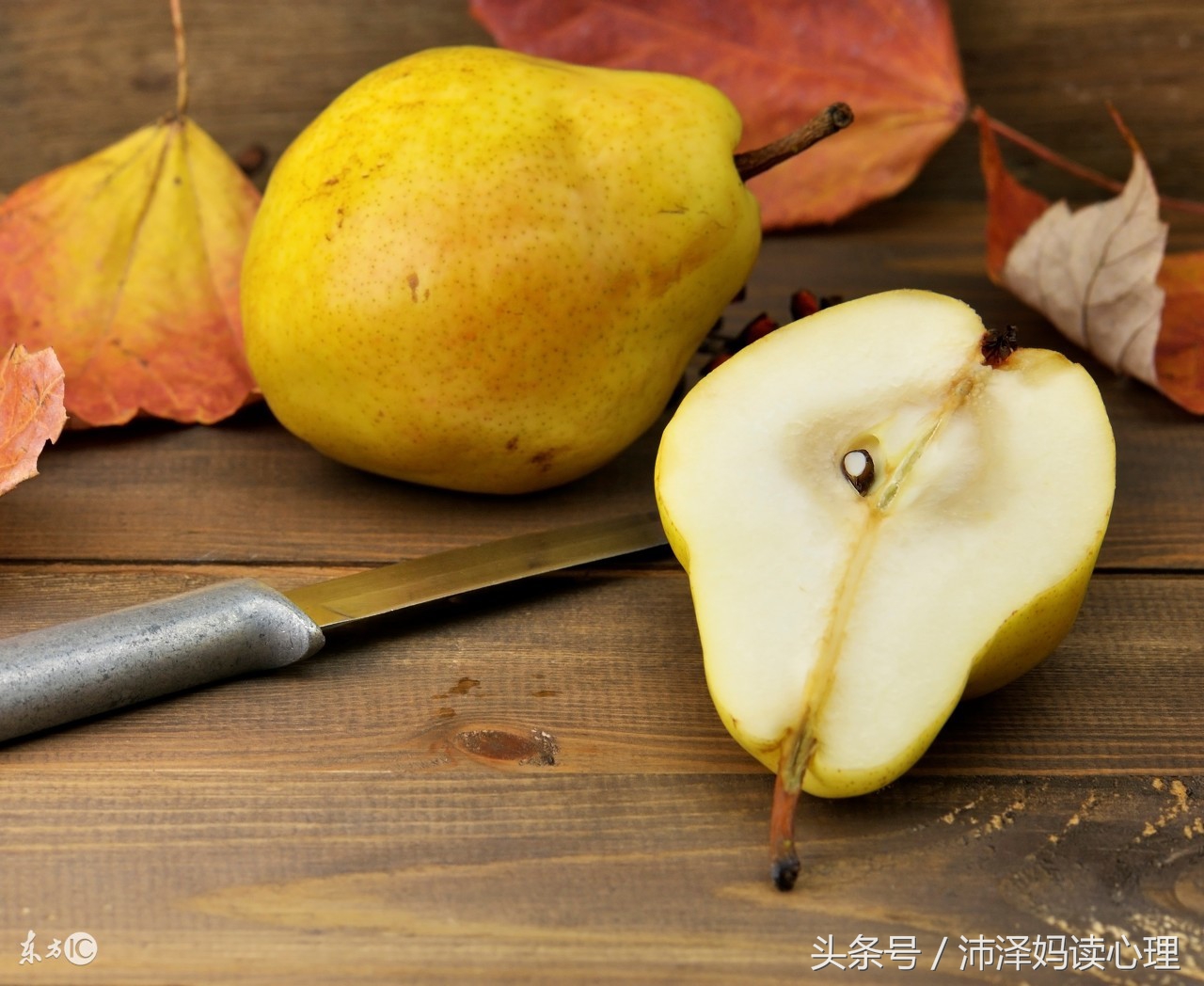 宝宝幼儿园有火吃点啥,爱上火的宝宝吃什么保健品好