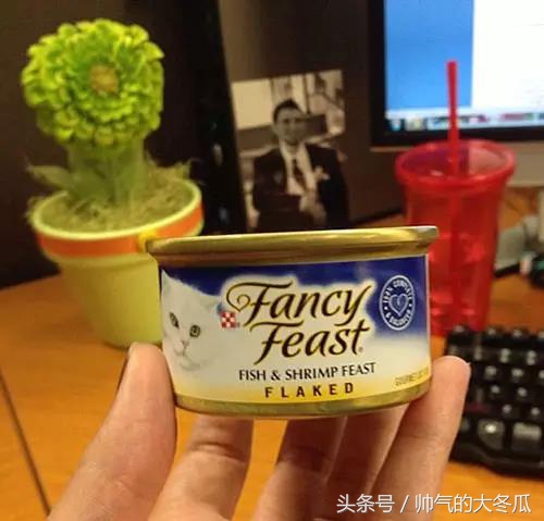 和爸爸在家带孩子怎么沟通,当爸爸带孩子的时候有什么惊喜