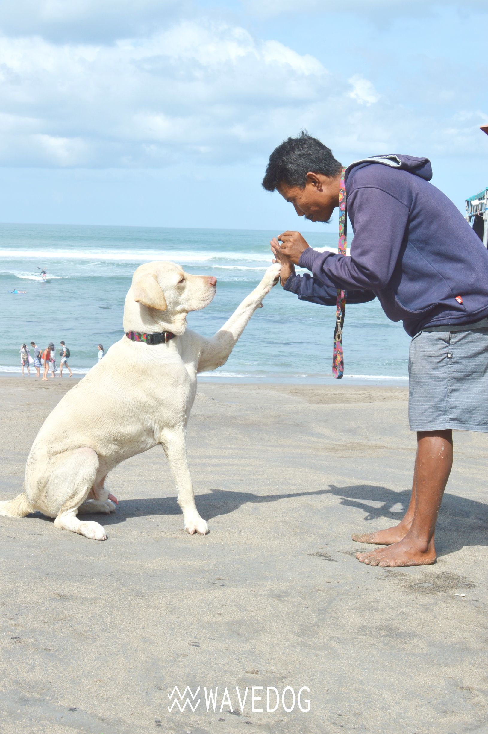去小岛只能带3个东西,去小岛玩需带什么东西
