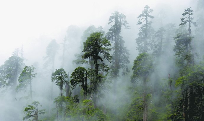 靠近喜马拉雅山脉的印度城市,印度喜马拉雅山下的小镇