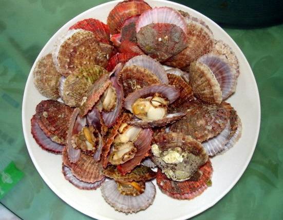 千万别离开龙口，因为有些味道无法代替