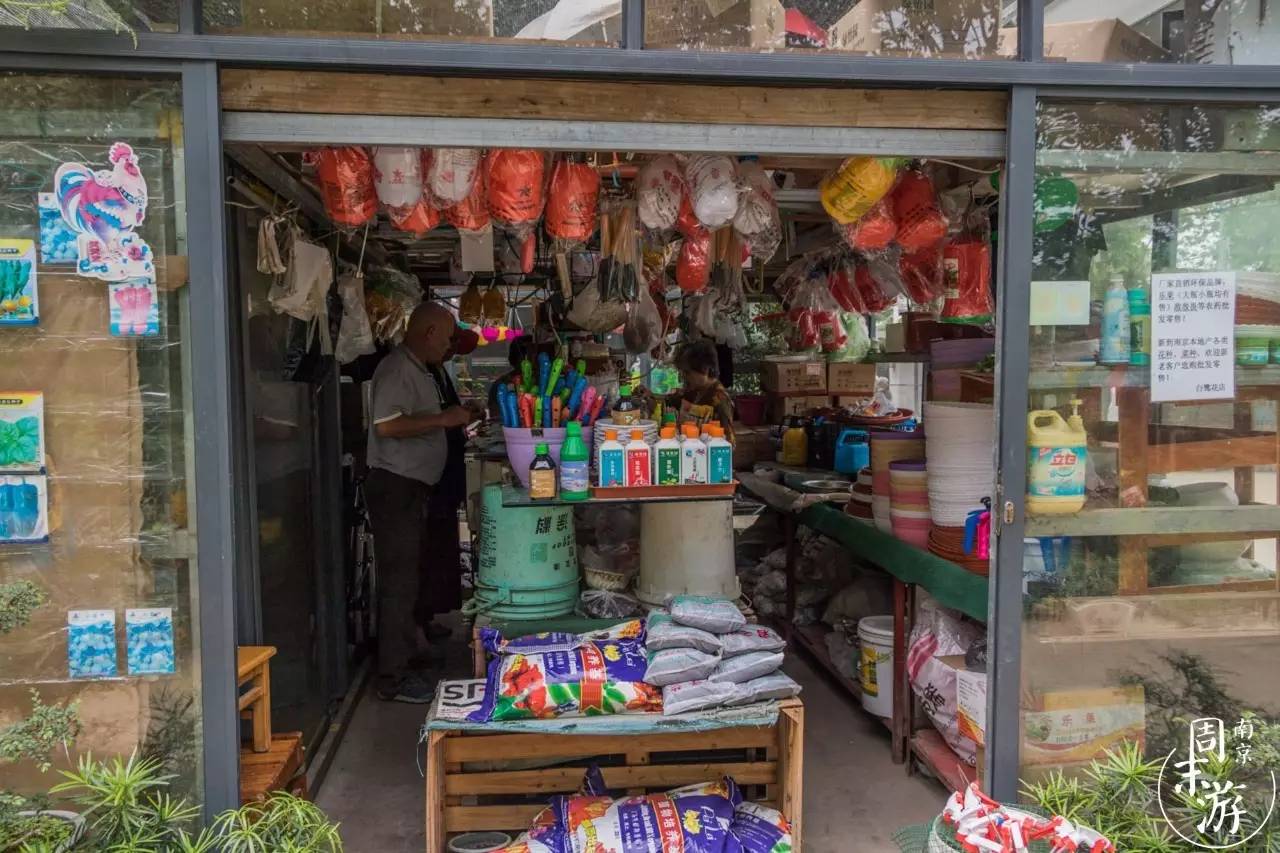 逛遍整个南京城,南京的花鸟市场在什么地方