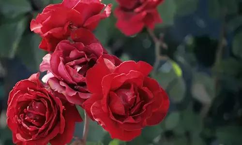 懒人福利丨衣食住行玩一次搞定！只有这里！