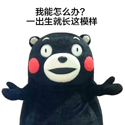 熊本熊boom表情包,熊本熊表情包大全不想理你