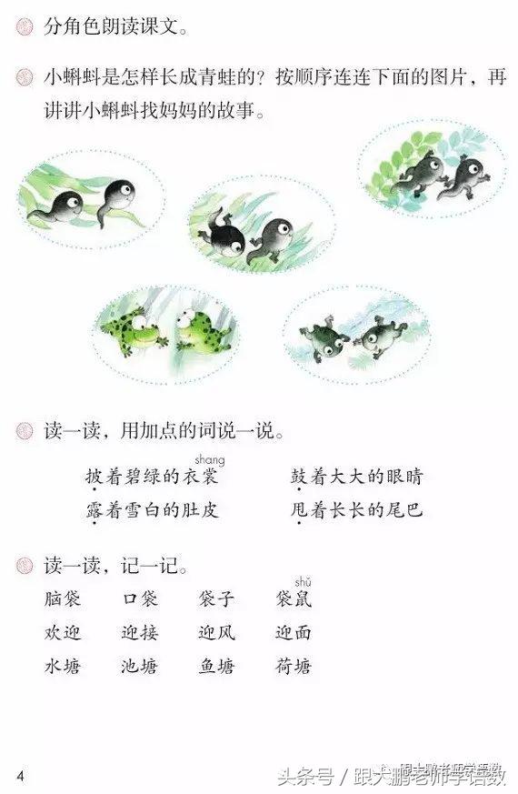 小蝌蚪找妈妈音频,二年级语文小蝌蚪找妈妈音频