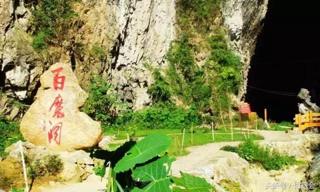 唯一一处不会得癌症的地方,一个从来没有人得过癌症的村子