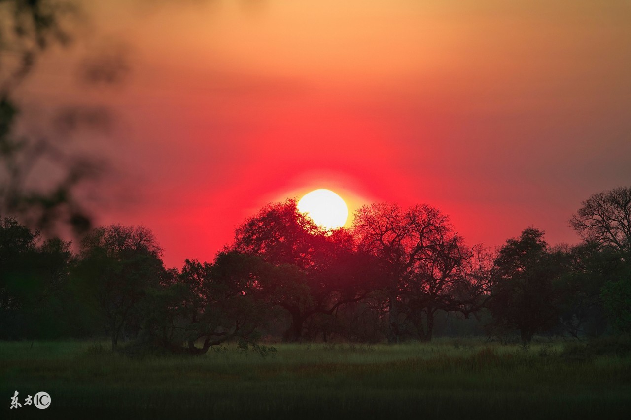 成功秘诀和感悟,成功的秘诀利他
