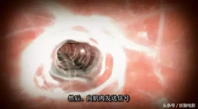 最震撼的纪录片bbc人体的奥秘,人体科普纪录片top10