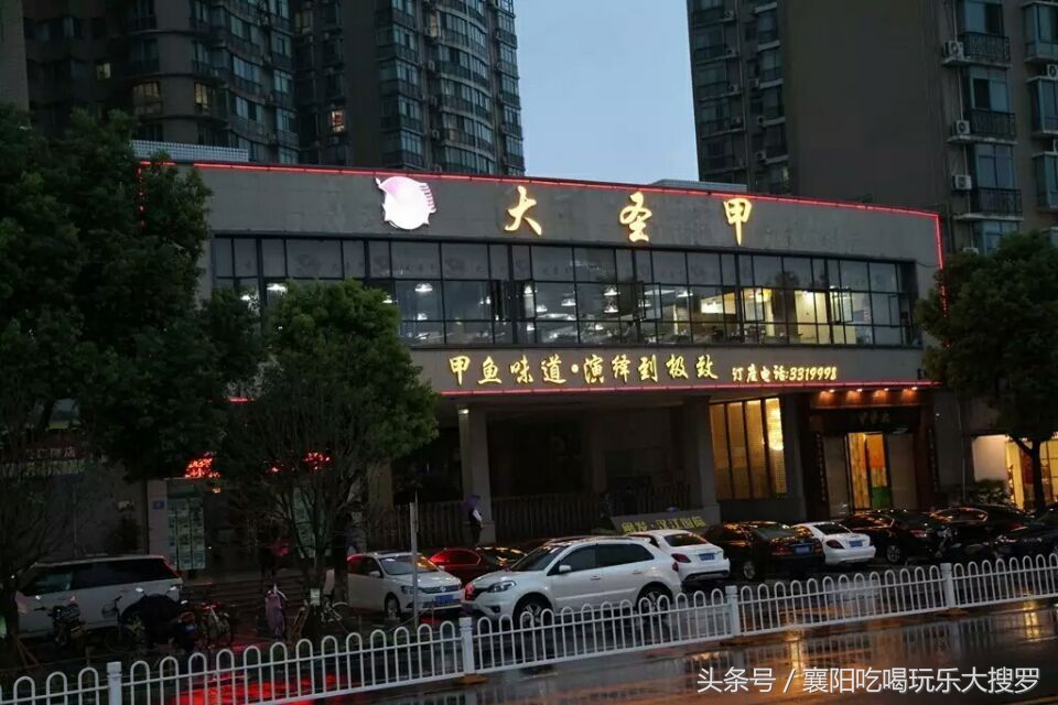 甲鱼销量第一,销量第一甲鱼