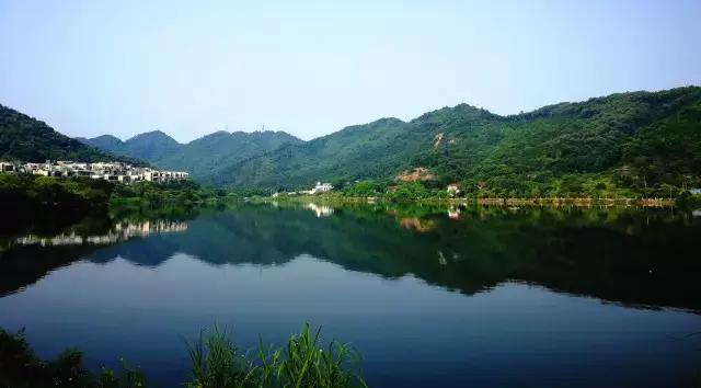 不愧为中山的生态保护区,镜头下的五桂山竟然这么美