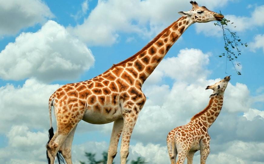 地球从来就不缺少神秘——关于地球上的10种自然谜团