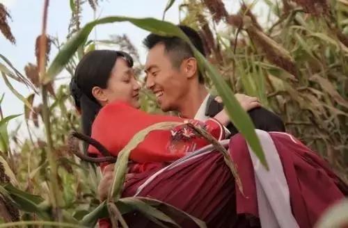 紫薇尔康接吻合集,紫薇尔康接吻