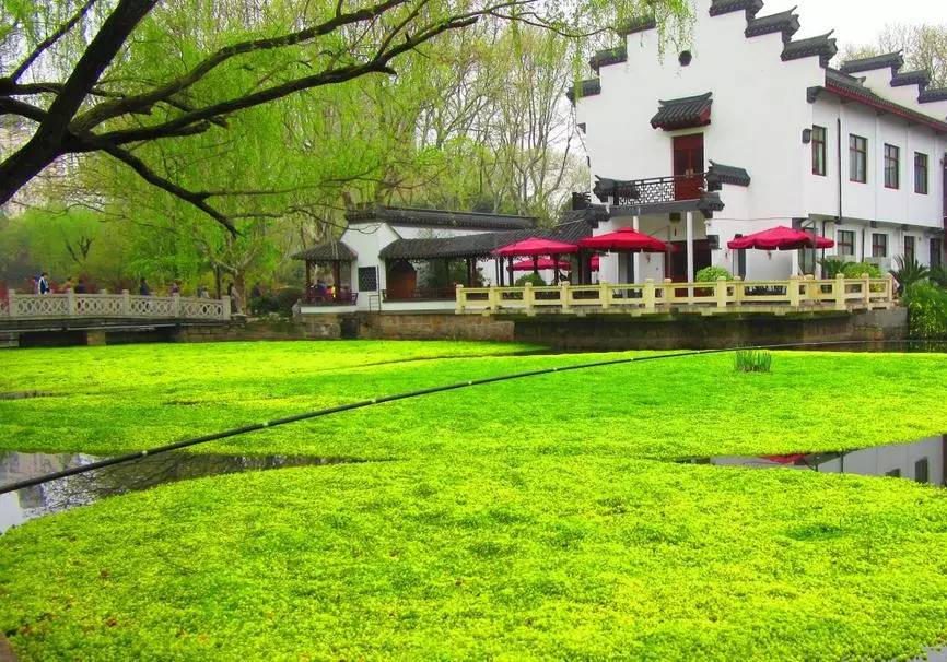 上海支持非沪籍单身人士购房,非沪籍落户上海最新政策