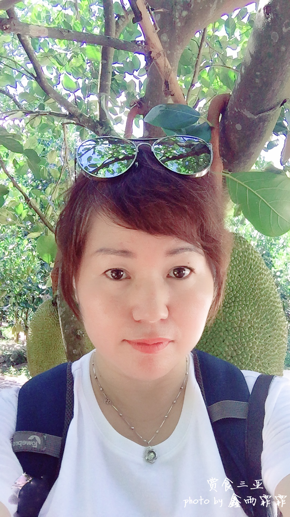 尝遍海南水果,尝遍一年四季水果