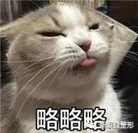 林小宅显老,林小宅算是翻车了吗