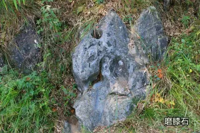 仙人洞里面的洞天,走进钟乳石洞在哪里