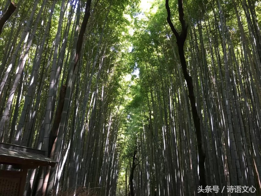 暑假带娃去部队看亲人,带娃去拉练