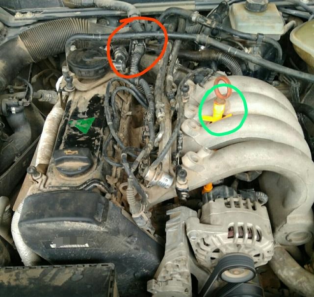 开了十年的普桑,普桑10年