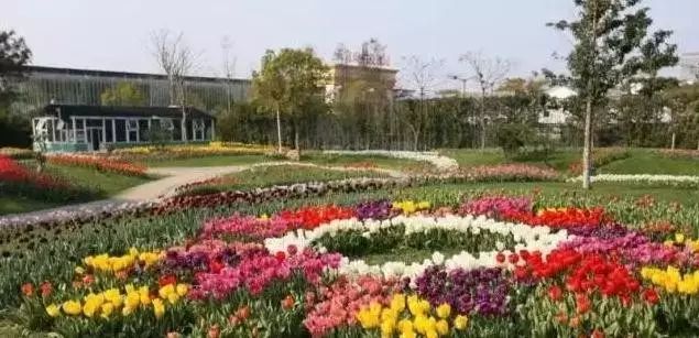 宁波罗蒙环球乐园门票秒杀价,宁波罗蒙环球有什么好玩的