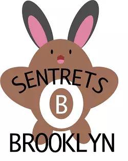 火箭队宝可梦logo,nba球队logo大全