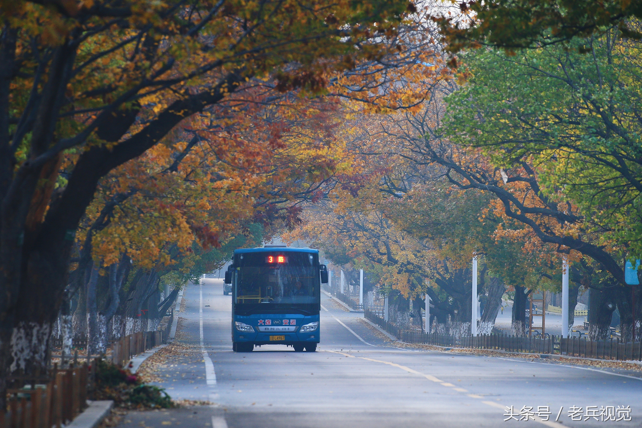 大连的秋天,大连附近秋天值得去的城市