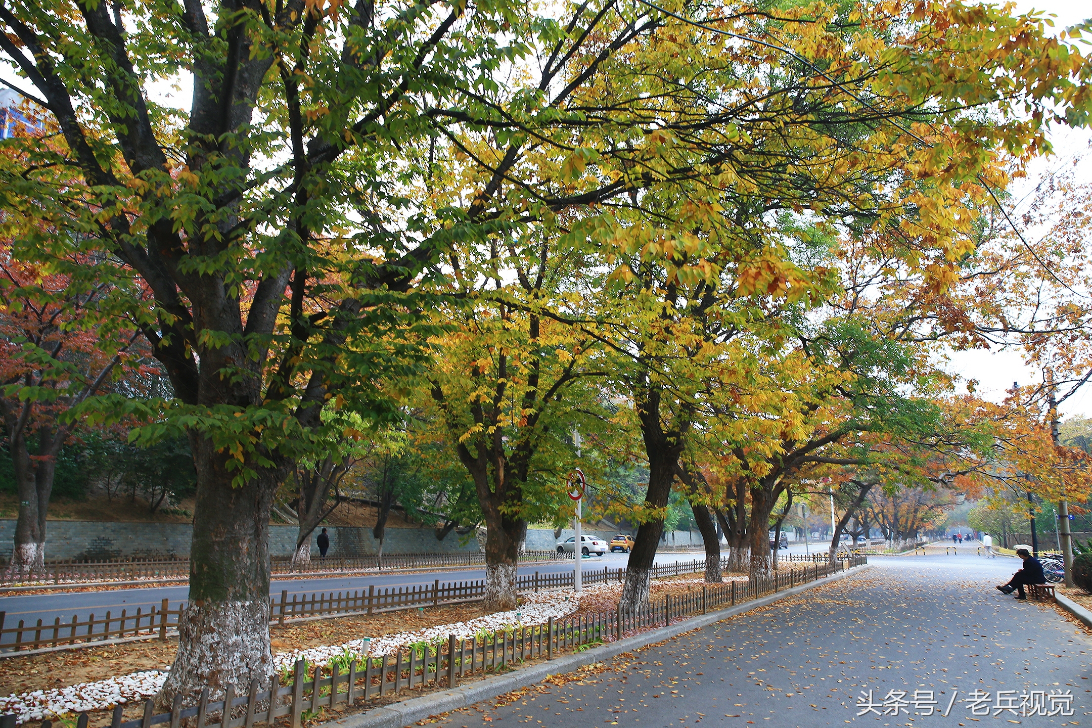 大连的秋天,大连附近秋天值得去的城市