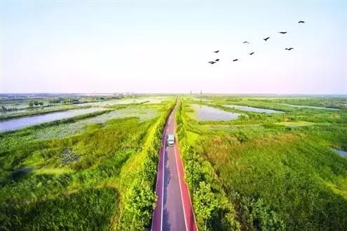 来到济宁必干的三件事,济宁市生活小常识