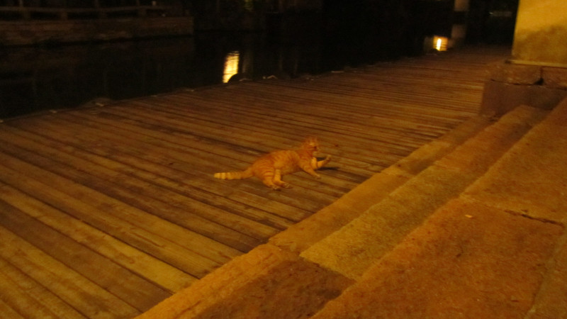 苏州西塘乌镇二日游团从杭州出发,苏州西塘乌镇二日一夜
