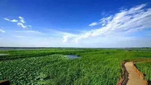 夏季沈阳周边自驾游路线推荐,沈阳周边30个最佳自驾好去处