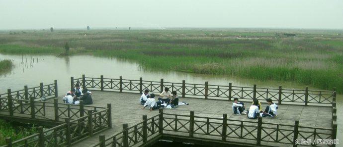 浙江玉环漩门湾国家湿地公园灯光,浙江玉环漩门湾湿地公园拍鸟