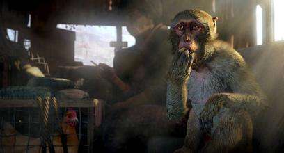 神经哥解说孤岛惊魂4,孤岛惊魂4隐藏狙击枪