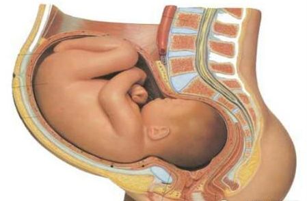 顺产生孩子的技巧和方法,分娩的全部流程在家