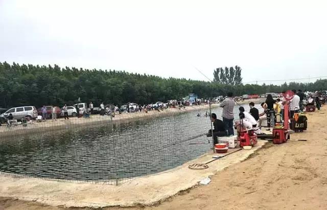 行营钓鱼节,行营钓具比赛视频