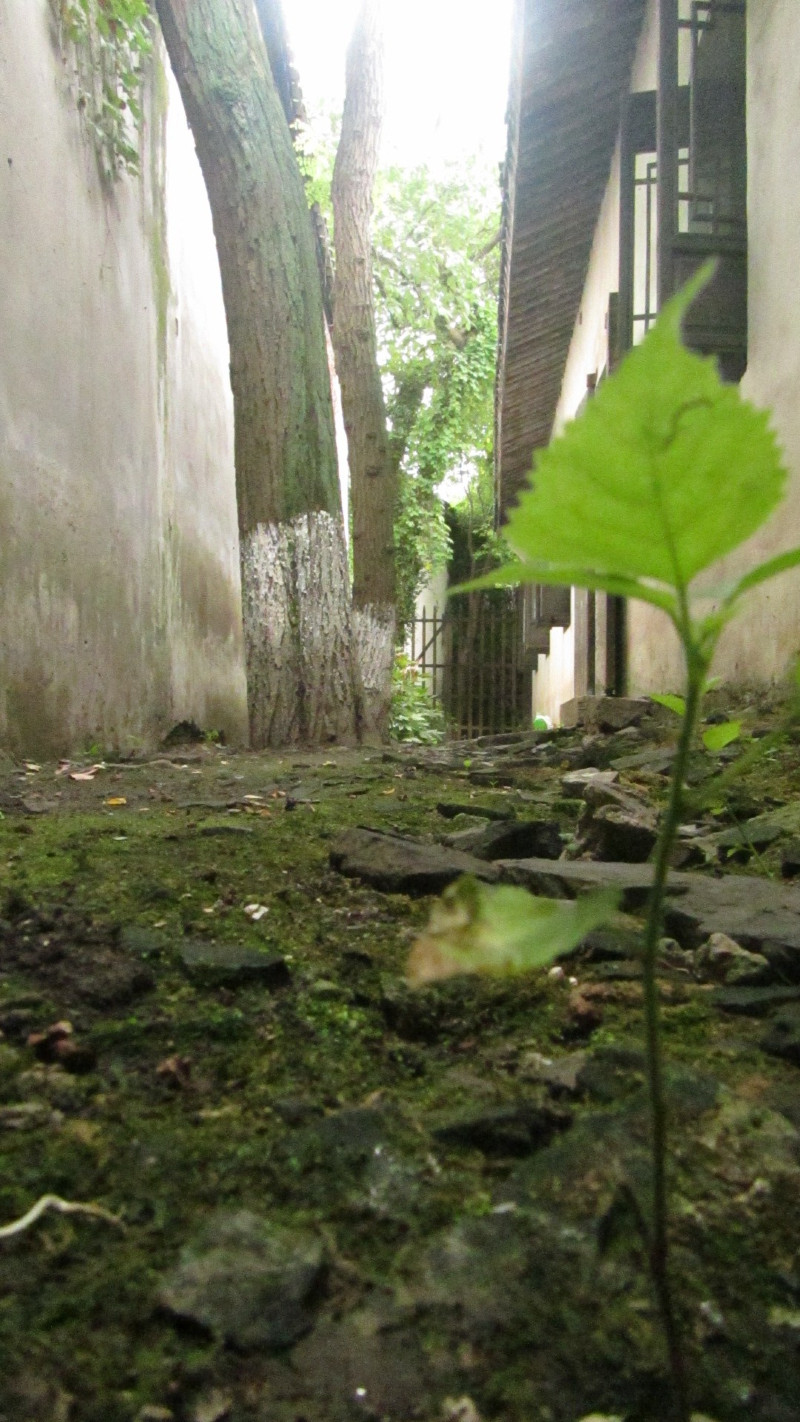 苏州西塘乌镇二日游团从杭州出发,苏州西塘乌镇二日一夜