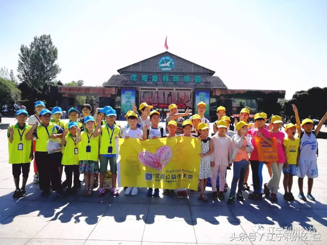 花young年华女子羽毛球俱乐部,花young年华音乐会怎么样