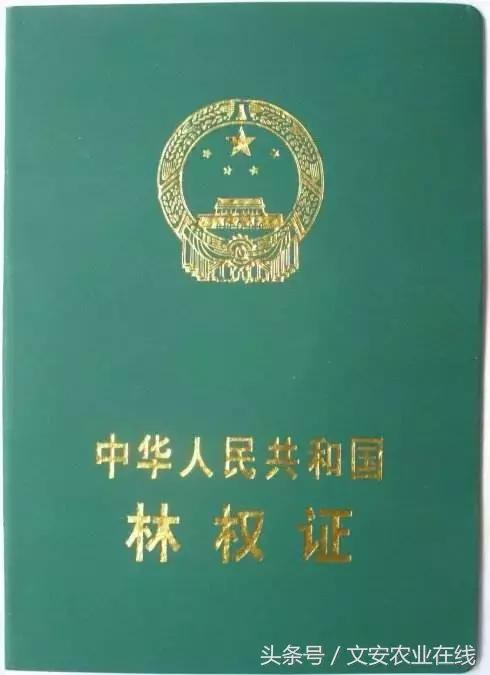 土地证和房产证哪个用处大,商铺土地证用处