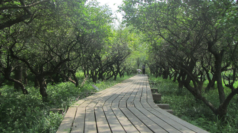 苏州西塘乌镇二日游团从杭州出发,苏州西塘乌镇二日一夜