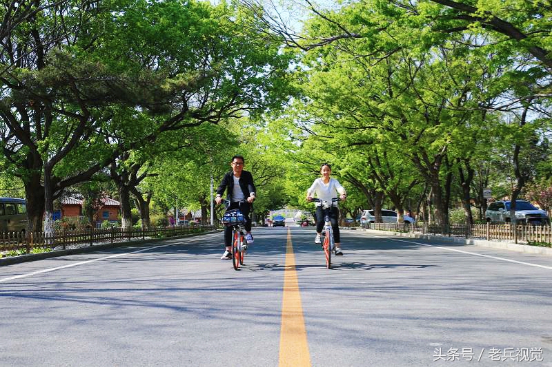 大连的秋天,大连附近秋天值得去的城市