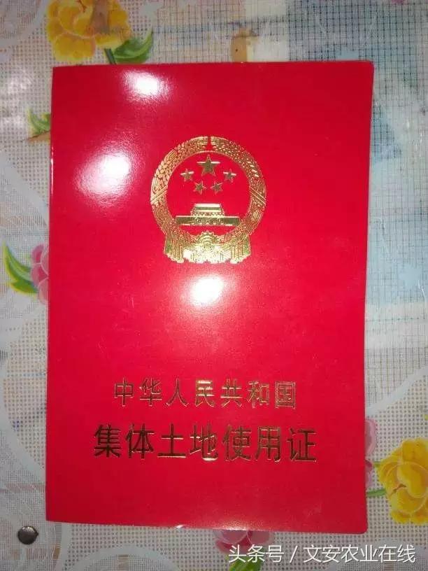 土地证和房产证哪个用处大,商铺土地证用处