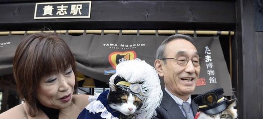 小米mix2尊享版有什么用,小米mix2尊享版入手