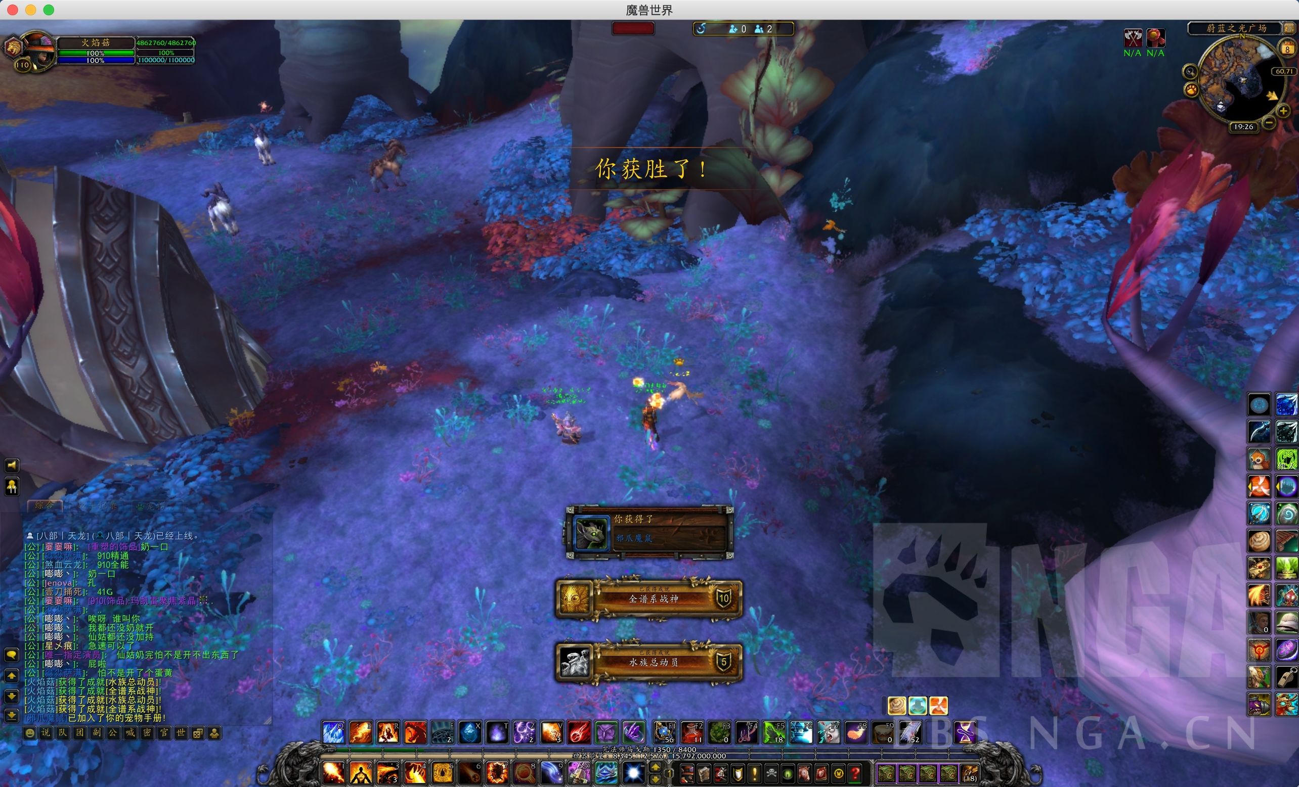 魔兽世界小宠物对战升级宠物推荐,魔兽小宠物对战哪个宠物厉害