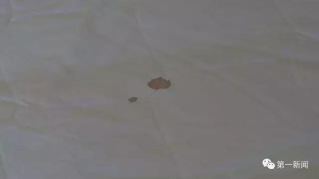酒店床单上弄到血了要赔钱吗,田朴珺曝光住一酒店床单有血
