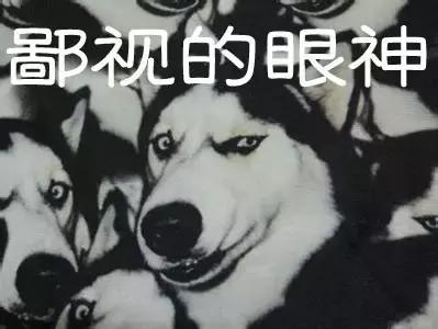 汽车防爆膜有必要贴1000多的吗,贴汽车防爆膜有必要吗