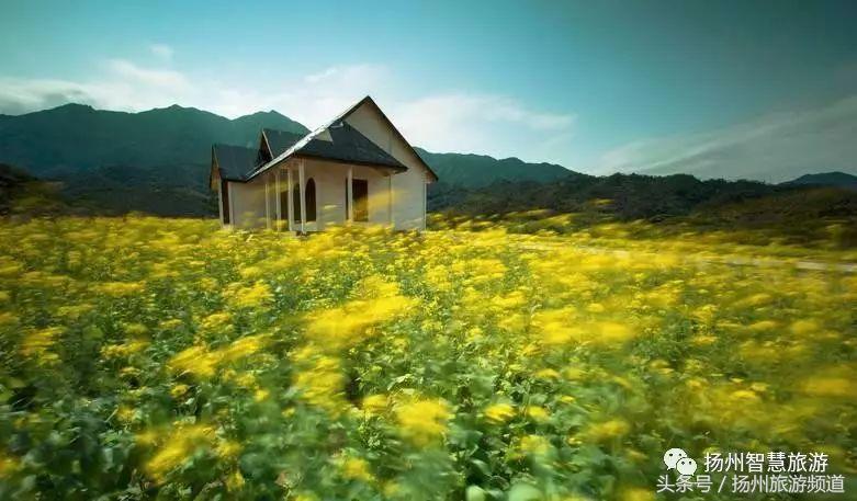 扬州农家乐游玩攻略,扬州十大最美农家乐