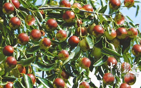 砥砺奋进争先创优取得新成效,2020年砥砺奋进工作取得了突破