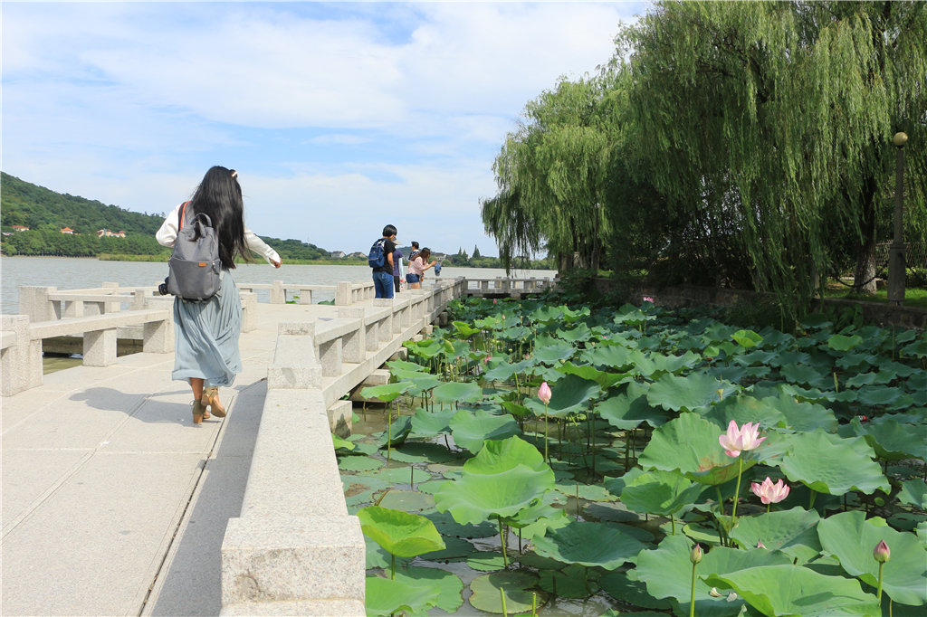 嘉兴南北湖农家乐推荐,嘉兴南北湖农家