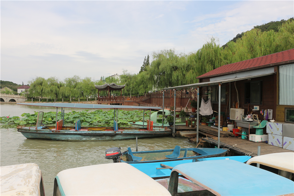 品农家菜,品农家美食
