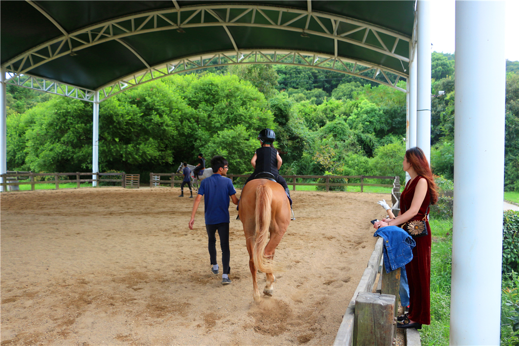 品农家菜,品农家美食